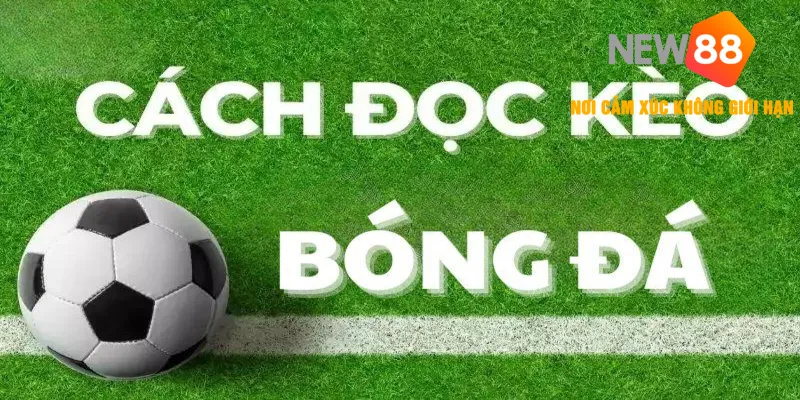 Bí kíp chiến thắng khi tham gia kèo Handicap